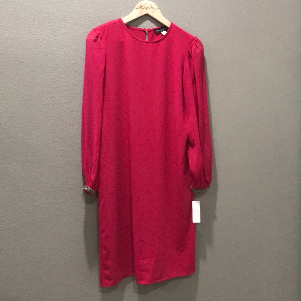 🎉 Simply Styled Dress with Chiffon Sleeves